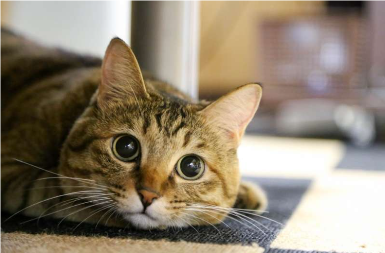 20231110_03